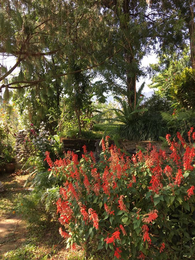 Hidden Paradise Guest House Ποκάρα Εξωτερικό φωτογραφία
