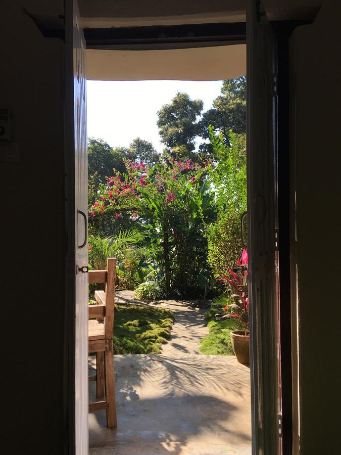 Hidden Paradise Guest House Ποκάρα Εξωτερικό φωτογραφία