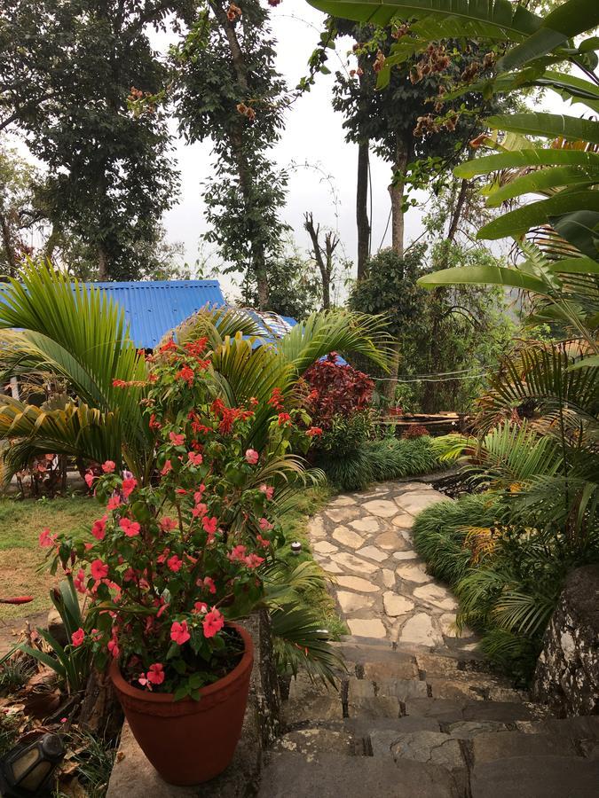 Hidden Paradise Guest House Ποκάρα Εξωτερικό φωτογραφία