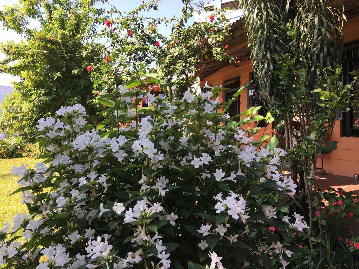 Hidden Paradise Guest House Ποκάρα Εξωτερικό φωτογραφία