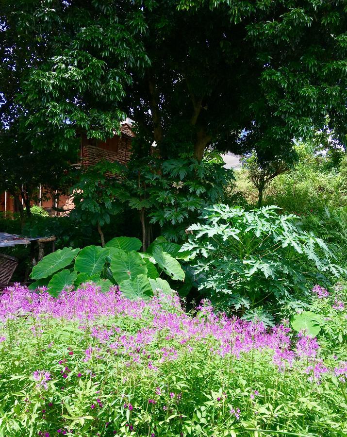 Hidden Paradise Guest House Ποκάρα Εξωτερικό φωτογραφία
